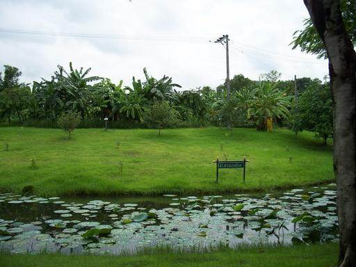 104_7394.jpg